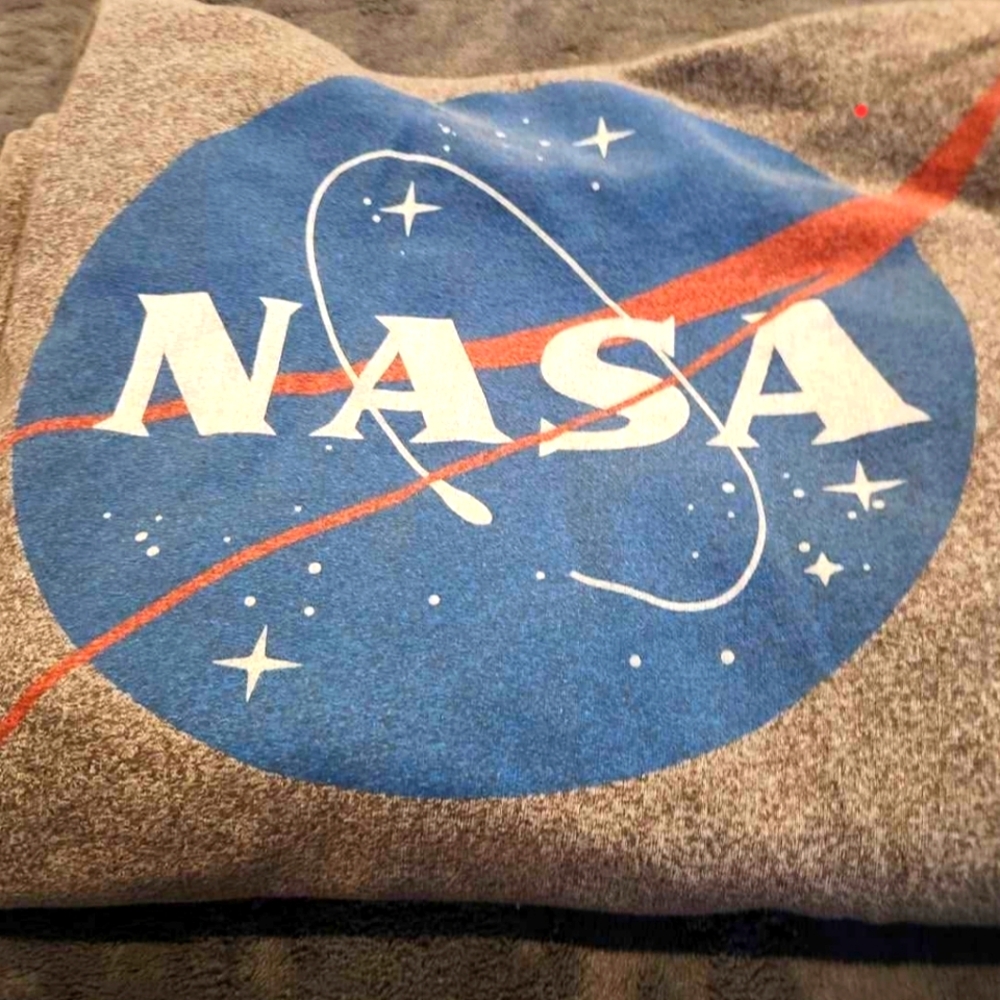 NASA Gray and Blue Logo Sweatshirt